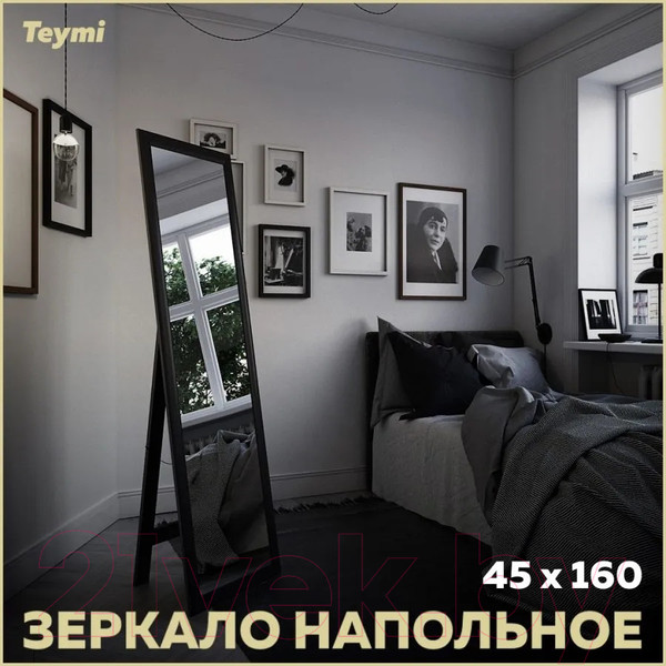Изображение товара Зеркало Teymi Helmi 45x160 / T20244 (венге)