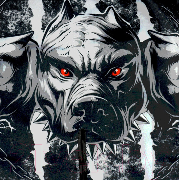 Изображение товара Шорты для единоборств RuscoSport Cerberus детские для ММА (XL)