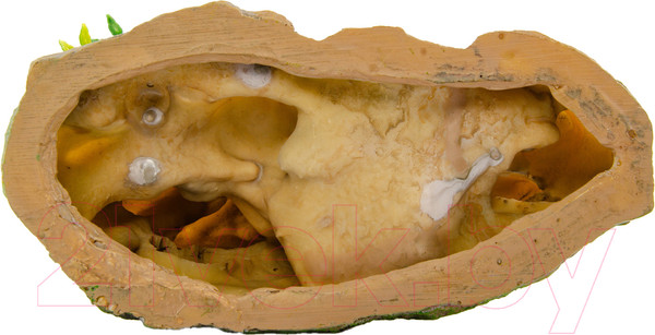 Изображение товара Декорация для аквариума Exoprima Каменная Арка / 40005/EP