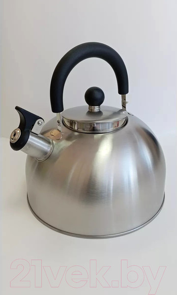 Изображение товара Чайник со свистком Vessel VS8827