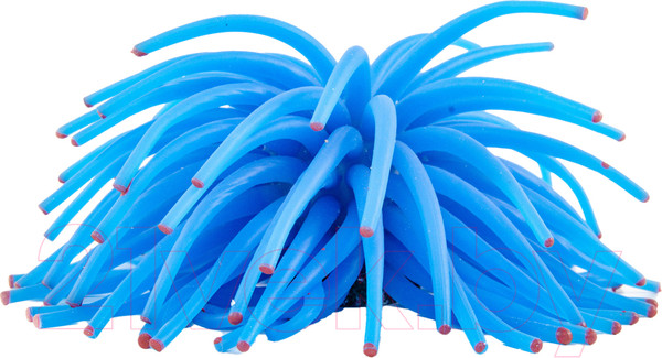 Изображение товара Декорация для аквариума Exoprima Коралл / 00943/EP (голубой)