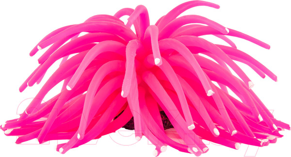 Изображение товара Декорация для аквариума Exoprima Коралл / 00936/EP (розовый)