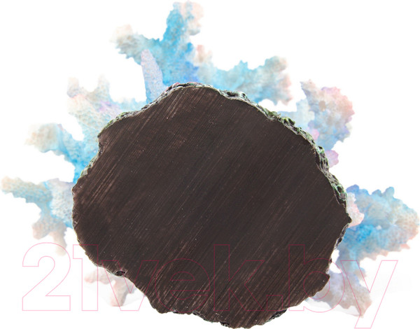 Изображение товара Декорация для аквариума Exoprima Коралл / 00967/EP (синий)