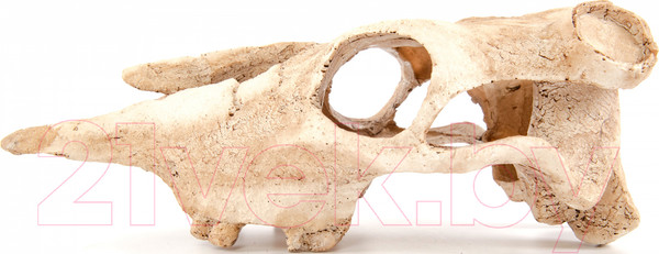 Изображение товара Декорация для аквариума Exoprima Череп буйвола / 00905/EP