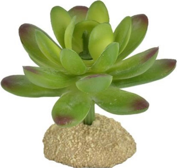 Изображение товара Декорация для террариума Exoprima Растение Суккулент игольчатый / 40027/EP (зеленый)