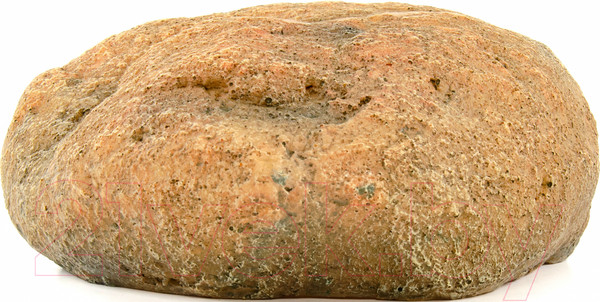 Изображение товара Декорация для террариума Exoprima Растение Укрытие Cozy Cave / 00844/EP (бежевый)