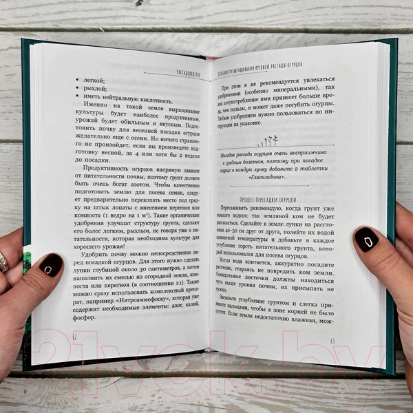 Изображение товара Нехудожественная книга АСТ Рассадоводство. Первые шаги к здоровому урожаю / 9785171573348 (Кузнецова Е.А.)