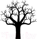 Изображение товара Книга АСТ Роза Марена / 9785171554569 (Кинг С.)