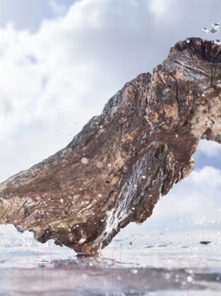 Изображение товара Парфюмерная вода Bvlgari Man Rain Essence (100мл)