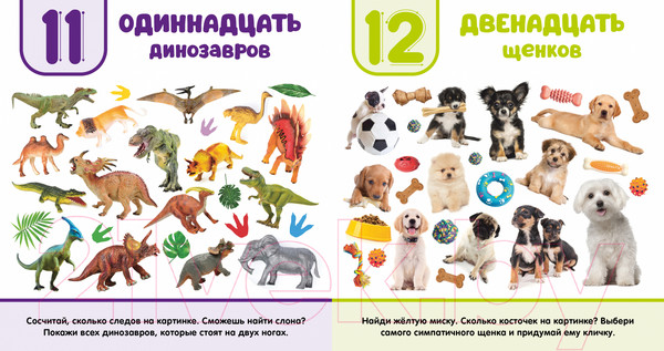 Изображение товара Развивающая книга CLEVER Первая фотокнига малыша. Цифры / 9785002115631