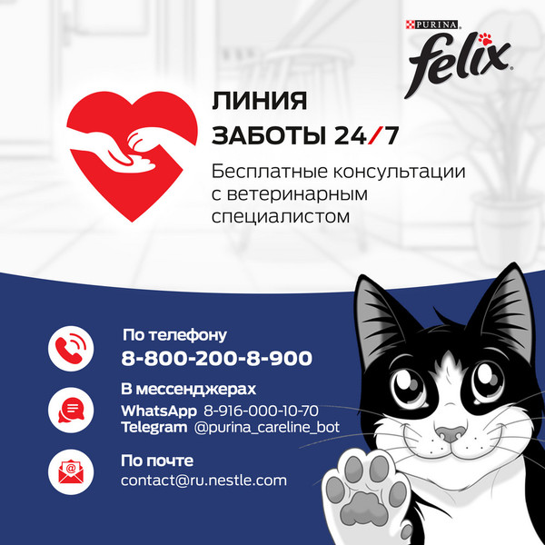 Изображение товара Сухой корм для кошек Felix Мясное объедение курица (600г)