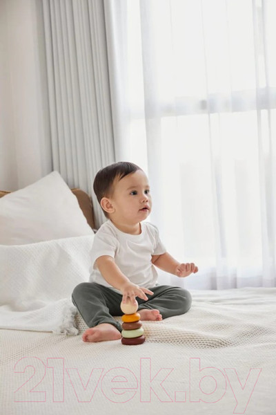 Изображение товара Развивающая игрушка Plan Toys Пирамидка Кольца / 5286