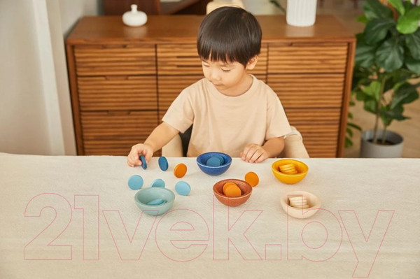 Изображение товара Сортер Plan Toys Счет и сортировка / 5475