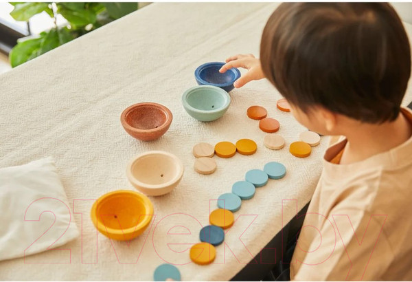 Изображение товара Сортер Plan Toys Счет и сортировка / 5475