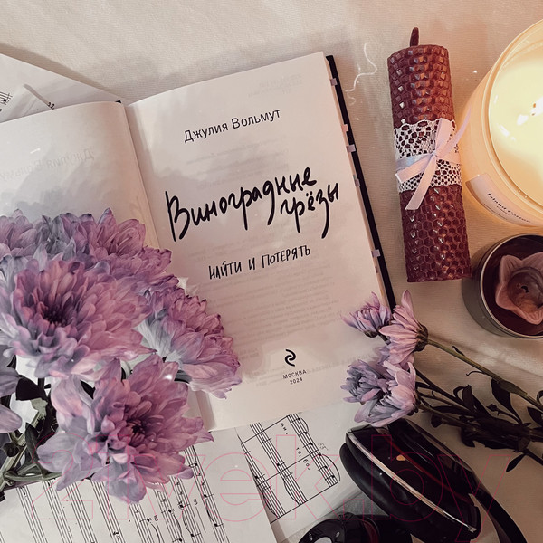 Изображение товара Книга Эксмо Виноградные грезы. Найти и потерять / 9785041963545 (Вольмут Д.)