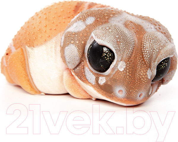 Изображение товара Фигурка коллекционная Exoprima Геккон / 26382/AH (светло-коричневый)