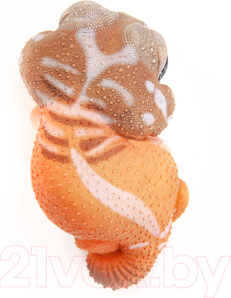 Изображение товара Фигурка коллекционная Exoprima Геккон / 26382/AH (светло-коричневый)