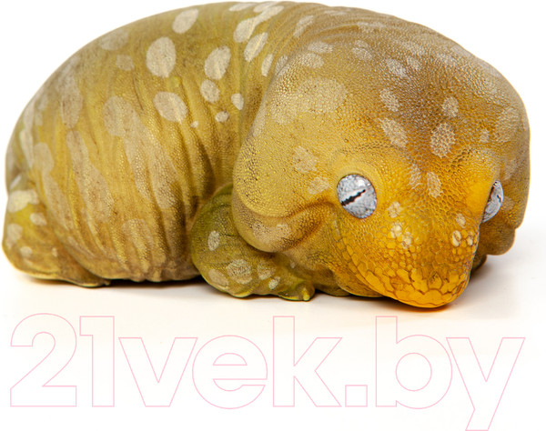 Изображение товара Фигурка коллекционная Exoprima Геккон / 26344/AH (зеленый/белый)