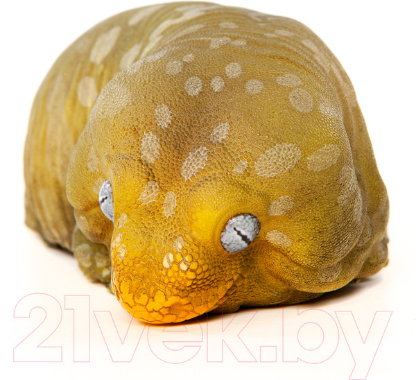 Изображение товара Фигурка коллекционная Exoprima Геккон / 26344/AH (зеленый/белый)