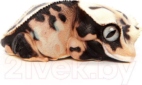 Изображение товара Фигурка коллекционная Exoprima Геккон бананоед / 26337/AH (черный/белый)