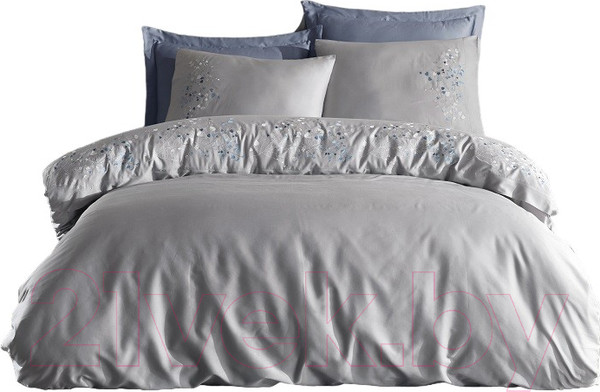 Изображение товара Комплект постельного белья Dantela Vita Alya с вышивкой 200x220 / 11907 (серый)