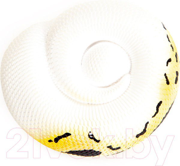 Изображение товара Фигурка коллекционная Exoprima Питон / 56401/AH (белый/желтый)