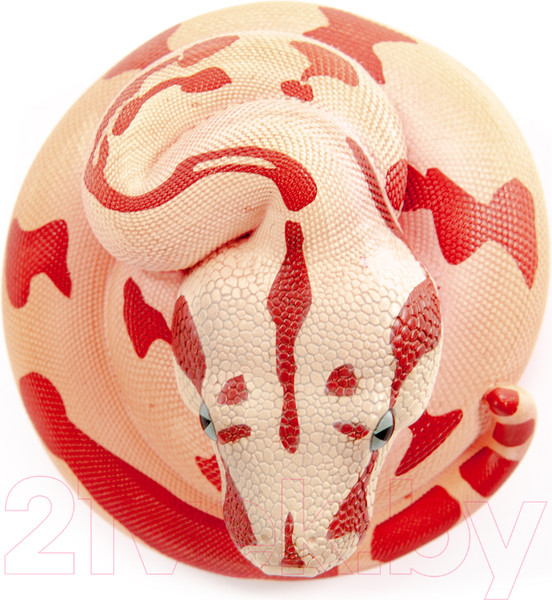 Изображение товара Фигурка коллекционная Exoprima Питон / 56331/AH (розовый/красный)