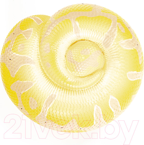 Изображение товара Фигурка коллекционная Exoprima Питон / 56348/AH (серый/желтый)