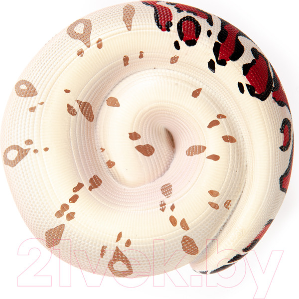 Изображение товара Фигурка коллекционная Exoprima Питон / 56355/AH (серый/красный)