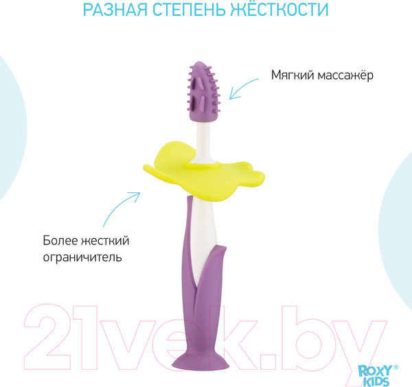 Изображение товара Набор зубных щеток для новорожденных ROXY-KIDS RTB-004 (фиолетовый)