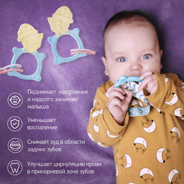 Изображение товара Прорезыватель для зубов Roxy-Kids Meow Teether / RMT-001SC (голубой)