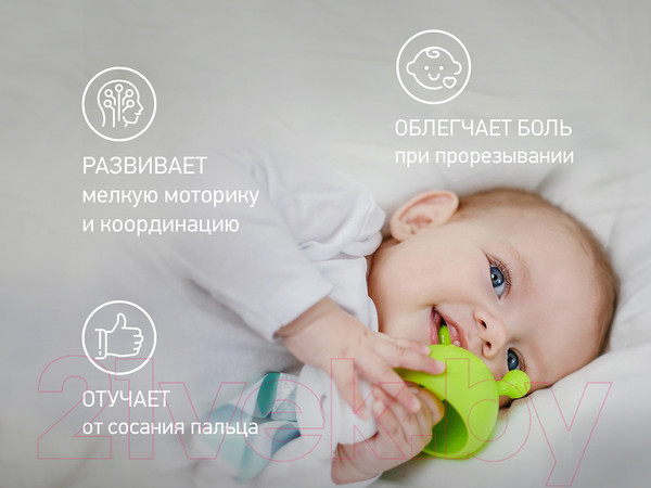 Изображение товара Прорезыватель для зубов Roxy-Kids Грибочек / RST-001-G (салатовый)