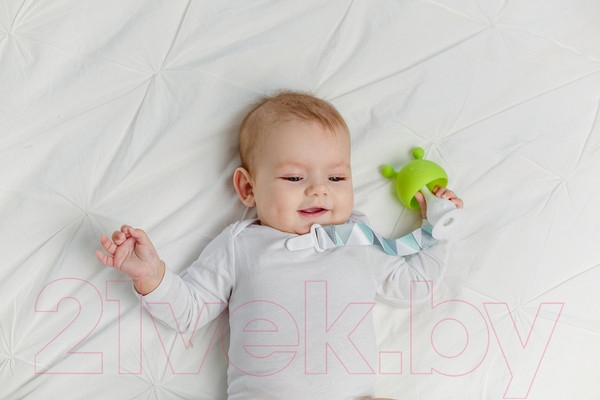 Изображение товара Прорезыватель для зубов Roxy-Kids Грибочек / RST-001-G (салатовый)