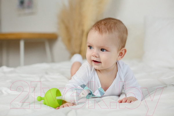 Изображение товара Прорезыватель для зубов Roxy-Kids Грибочек / RST-001-G (салатовый)