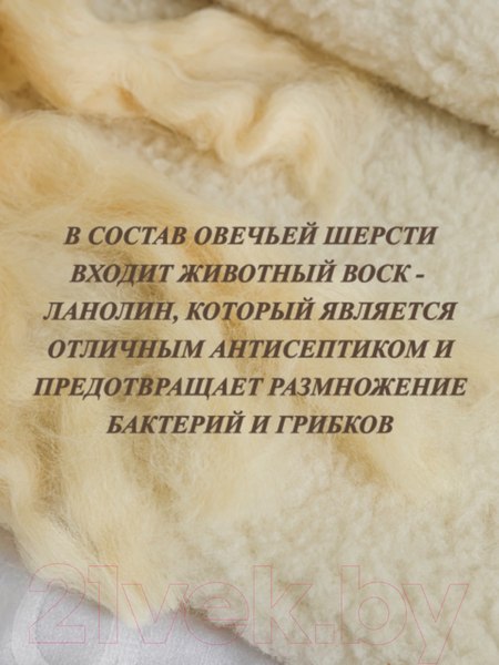 Изображение товара Одеяло Lanatex ОДМ 012 / 022 (170x205см)