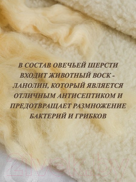 Изображение товара Покрывало Lanatex ООМ 011 / 011 (145x205см)