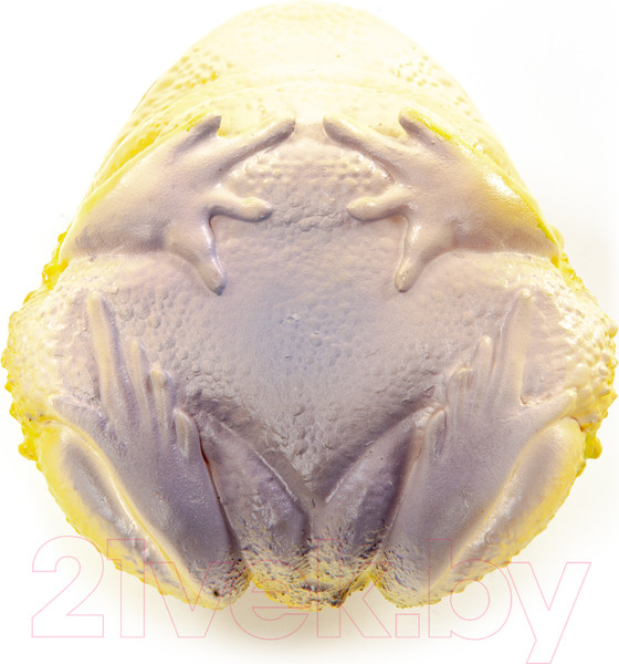 Изображение товара Фигурка коллекционная Exoprima Лягушка-рогатка / 56366/AH (светло-желтый)