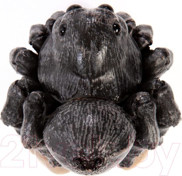 Изображение товара Фигурка коллекционная Exoprima Тарантул / 56411/AH (черный)