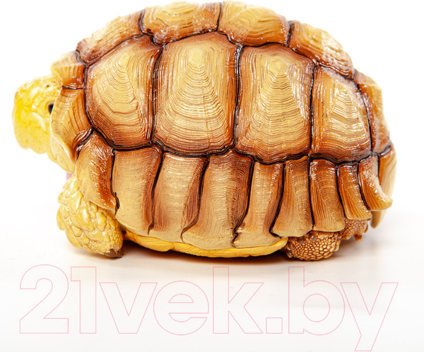 Изображение товара Фигурка коллекционная Exoprima Шпороносная черепаха / 56335/AH (светло-коричневый)