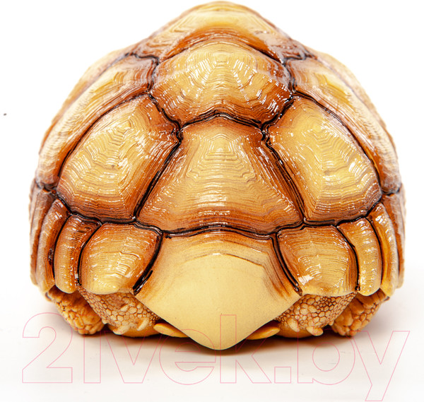 Изображение товара Фигурка коллекционная Exoprima Шпороносная черепаха / 56335/AH (светло-коричневый)