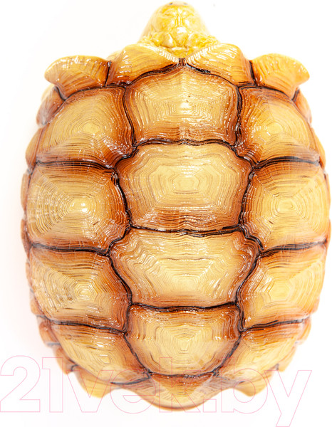 Изображение товара Фигурка коллекционная Exoprima Шпороносная черепаха / 56335/AH (светло-коричневый)