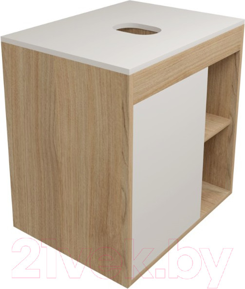 Изображение товара Тумба под умывальник Teymi Nura 60 / T60527 (дуб эврика/белый матовый)