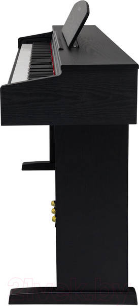 Изображение товара Цифровое фортепиано Rockdale Etude 128 Graded Black / A162559 (черный)