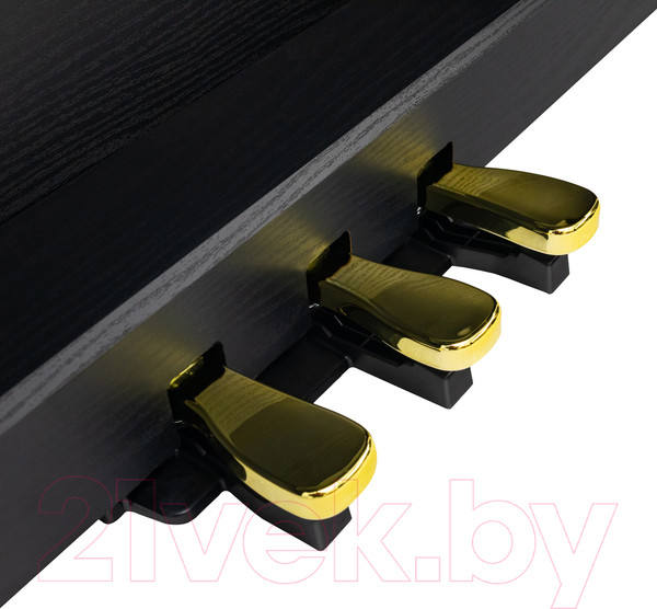 Изображение товара Цифровое фортепиано Rockdale Etude 128 Graded Black / A162559 (черный)