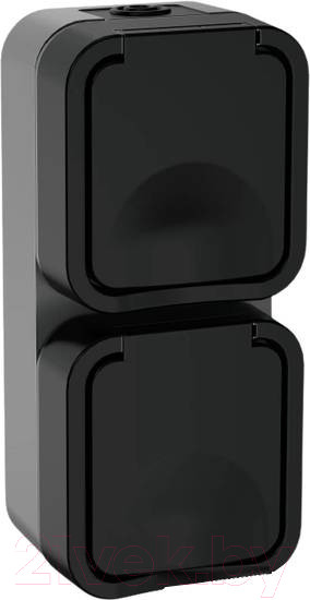 Изображение товара Розетка IEK Tors TS-R26-16-55-V-K53 (графит)