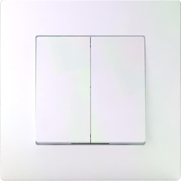 Изображение товара Выключатель Tokov Electric Pixel TKE-PX-V2F-C04 (перламутровый)