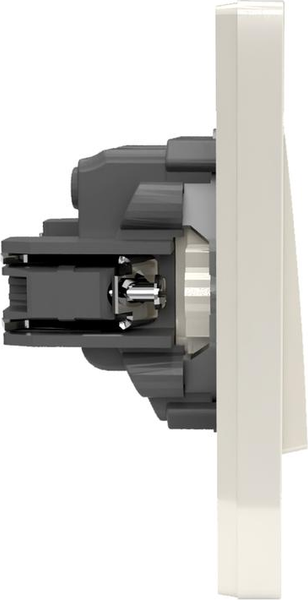 Изображение товара Выключатель Tokov Electric Pixel TKE-PX-V2F-C02 (бежевый)