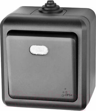 Изображение товара Выключатель Tokov Electric Dita TKL-DT-V1I-C14-IP54 (карбон)