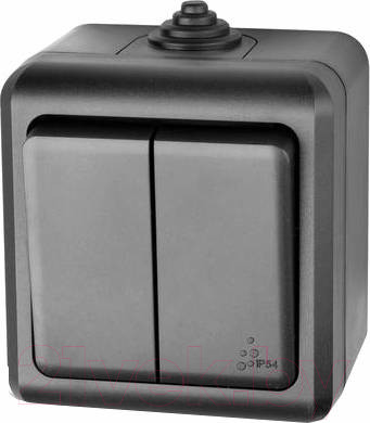 Изображение товара Выключатель Tokov Electric Dita TKL-DT-V2-C14-IP54 (карбон)