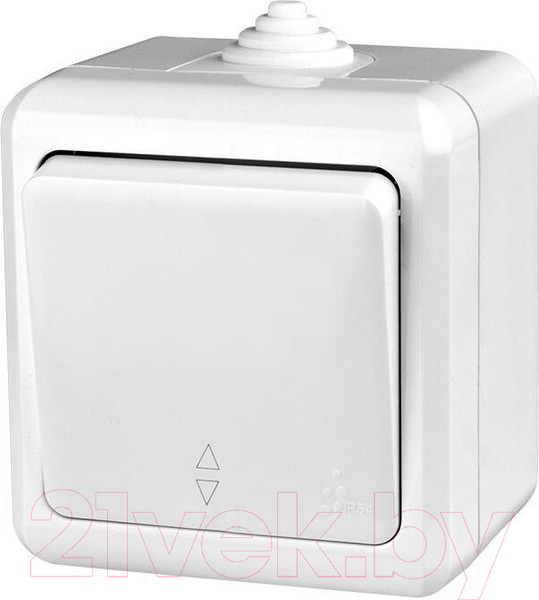 Изображение товара Выключатель Tokov Electric Dita TKL-DT-P1-C14-IP54 (карбон)